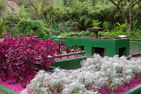 Wonderen der natuur: Jardim Botânico &amp; Tijuca Bos in Rio