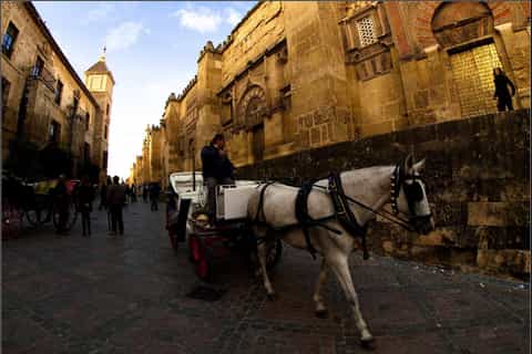 Cordoba: Private Horse-Drawn Carriage Tour