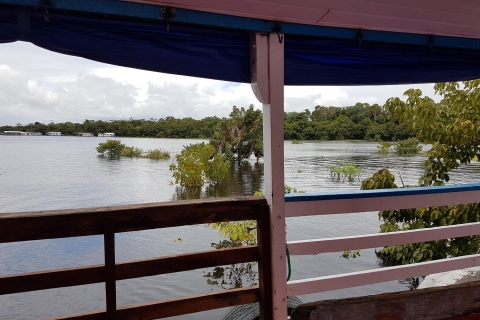 Manaus do Santarém: 36-godzinny prom na AmazonceKabina z prywatną łazienką i klimatyzacją