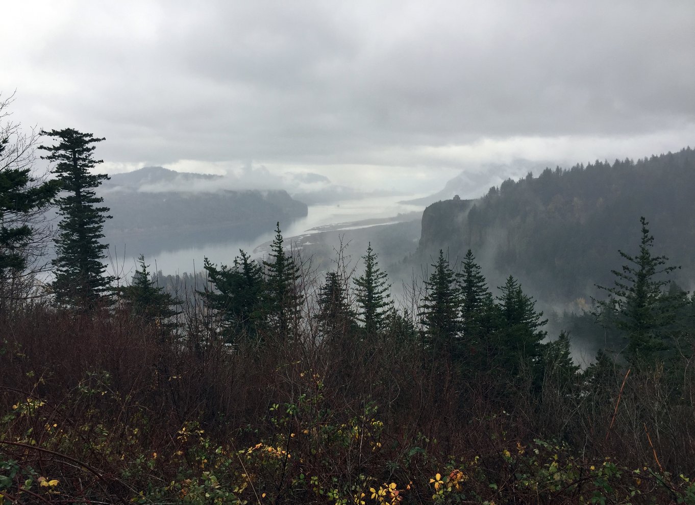 Portland: Columbia River Gorge 3-timers tur med en lille gruppe