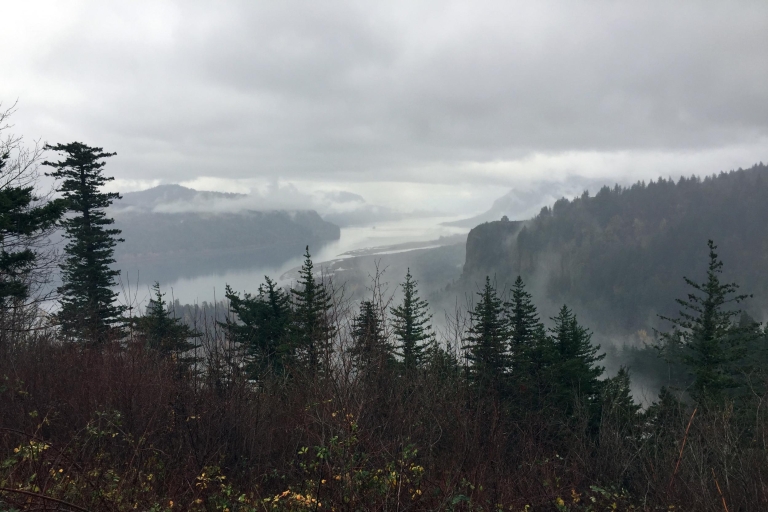 Półdniowa wycieczka piesza do wąwozu rzeki Columbia w małej grupiePortland: Wąwóz rzeki Columbia: półdniowa wędrówka w małej grupie
