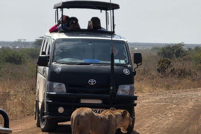 Nairobi National Park&Elephant Orphanage&Giraffe Centre Tour