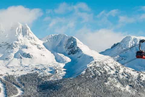 From Vancouver: Whistler Day Trip by Floatplane