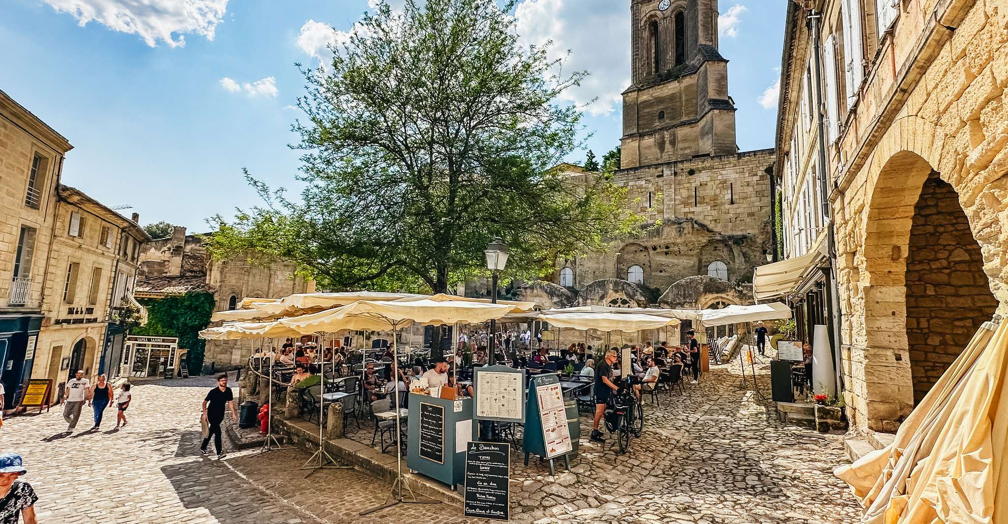 Da Bordeaux, Saint-Emilion Tour degustazione guidata di vini - Hizvo