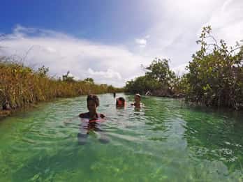 Dalla Riviera Maya: tour delle rovine Maya e della riserva di Sian Kaan