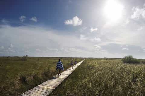 From Tulum: Mayan ruins & Sian Kaan Nature Reserve Tour