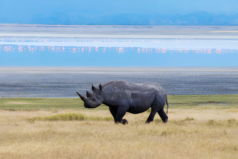 Séjour safari de 4 jours en Tanzanie à Noël et au Nouvel AnSéjour de 4 jours en Tanzanie pour Noël et le Nouvel An