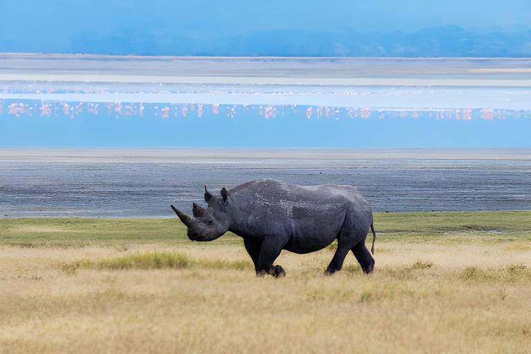 Séjour safari de 4 jours en Tanzanie à Noël et au Nouvel AnSéjour de 4 jours en Tanzanie pour Noël et le Nouvel An