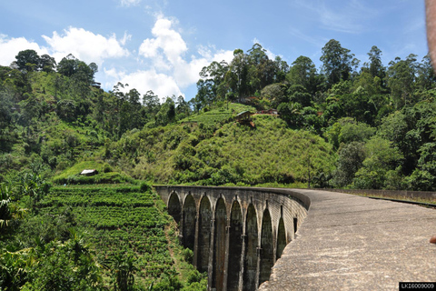 From Ella: Little Adam’s Peak and Nine Arches Bridge Hiking