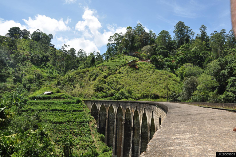 From Ella: Little Adam’s Peak and Nine Arches Bridge Hiking