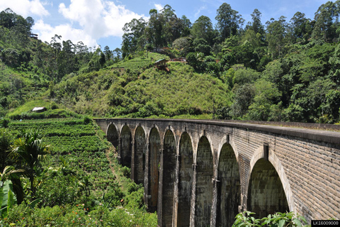 From Ella: Little Adam’s Peak and Nine Arches Bridge Hiking