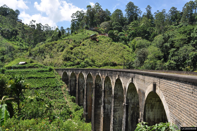 From Ella: Little Adam’s Peak and Nine Arches Bridge Hiking