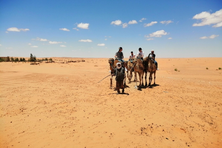 Yerba: tour de 1 día a Ksar Ghilane y pueblos bereberesYerba: Excursión de 1 día con paseo en camello, aguas termales y mucho más