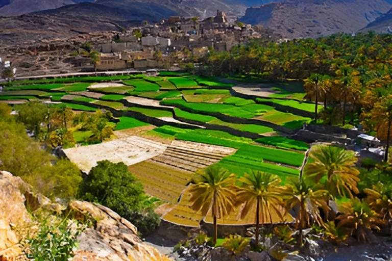 Amouge/ Fanja Village / Wadi Taiyyin ( Day Trip ) - 8 Hours