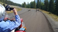 Desde Calgary, Altos Espíritus Aventura en una motocicleta Sidecar - Hizvo