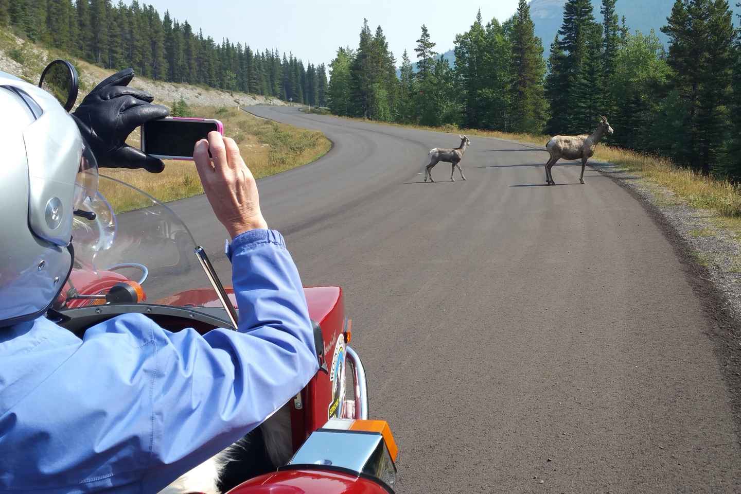 day trips from calgary | kananaskis
