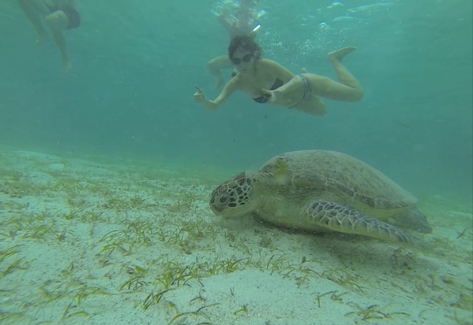 Vanuit Puerto Princesa Dagtrip Port Barton Island Hopping Getyourguide