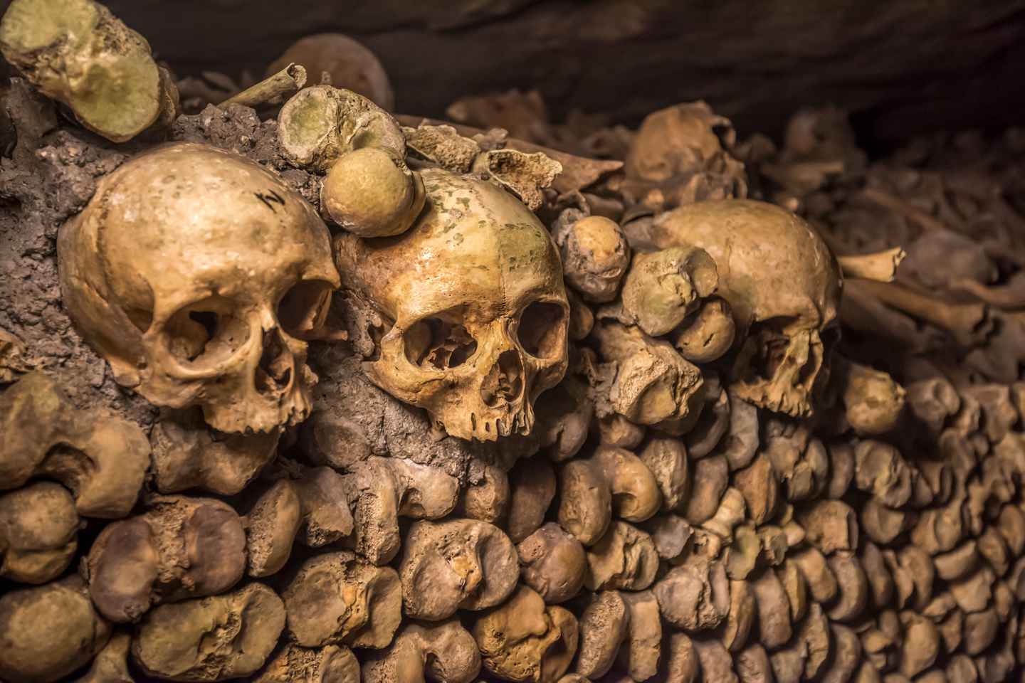 Paris Catacombs Skip-the-Line Guided Tour and Special Access - Paris Catacombs Skip-the-Line Guided Tour and Special Access