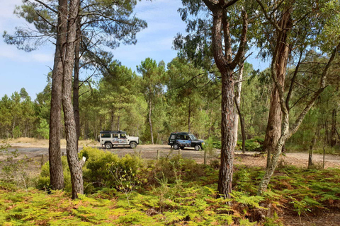 Porto: Tour in montagna 4x4Tour per piccoli gruppi