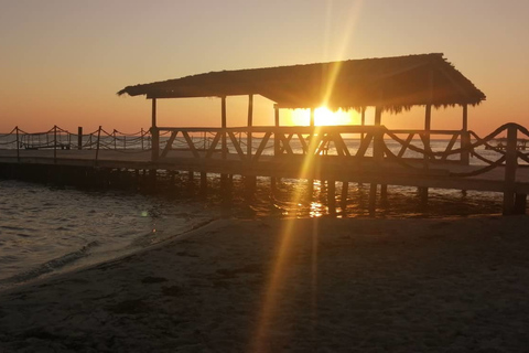 Djerba: vin, apéritifs et barbecue de poisson sur Flamingo Island