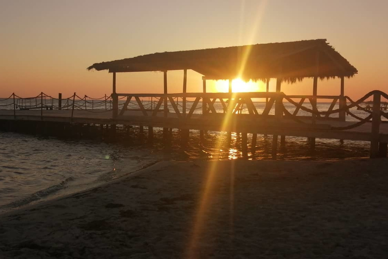 Djerba: vin, apéritifs et barbecue de poisson sur Flamingo Island