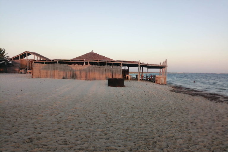 Djerba: vino, aperitivos y barbacoa de pescado en la isla Flamingo