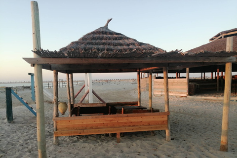 Djerba: Wein, Vorspeisen und Fisch-BBQ auf der Flamingo-Insel