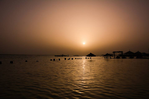 Djerba: vin, apéritifs et barbecue de poisson sur Flamingo Island