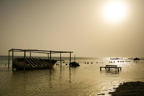 Djerba: vino, aperitivos y barbacoa de pescado en la isla Flamingo