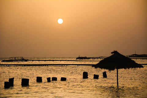 Djerba: vin, apéritifs et barbecue de poisson sur Flamingo Island