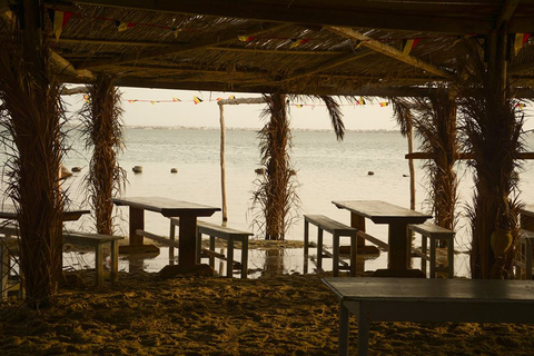 Djerba: vin, apéritifs et barbecue de poisson sur Flamingo Island