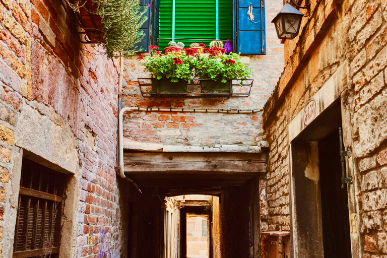 Venise : visite à pied et balade en gondoleVenise : visite à pied et balade en gondole en allemand