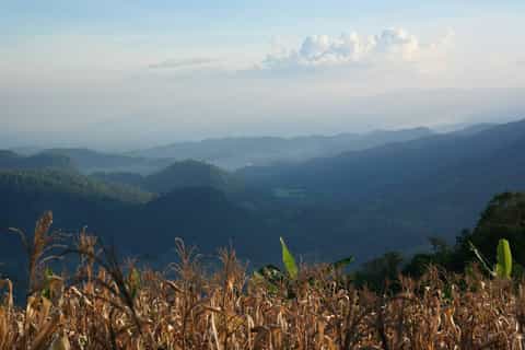 Chiang Mai: Full-Day of Trekking in Doi Chiang Dao