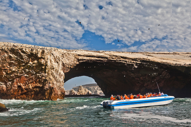 Z Paracas: malownicza wycieczka łodzią na wyspę Ballestas