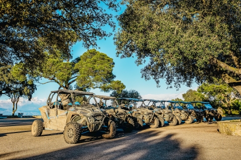 Palma de Mallorca: Off/On Road Buggy Tour with 2 or 4 Seater 4-Seater Buggy