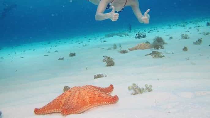 cozumel el cielo beach by boat private jeep tour
