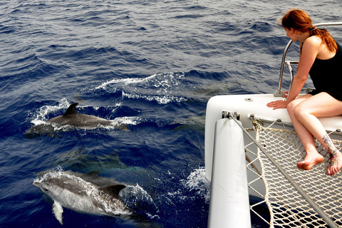 Fuerteventura: Catamarán navegación a vela y delfines.