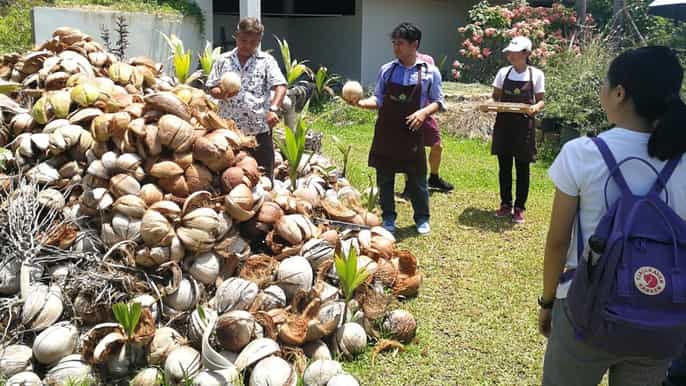 koh samui eco island tour with lunch