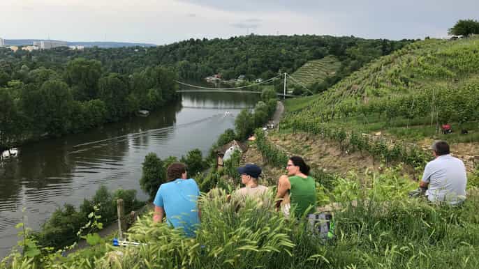 from stuttgart wine tour to bad cannstatt