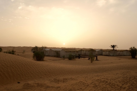 Ksar Ghilane Oasis: paseo en camello, natación y puesta de sol en las dunas