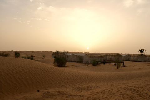 Ksar Ghilane : chameau, baignade, dunes et coucher de soleil