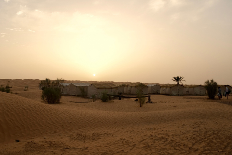 Ksar Ghilane : chameau, baignade, dunes et coucher de soleil