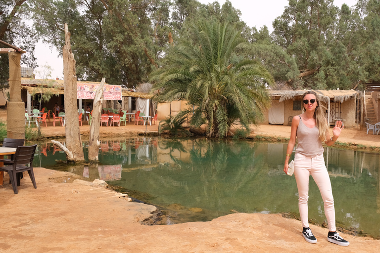 Ksar Ghilane : chameau, baignade, dunes et coucher de soleil