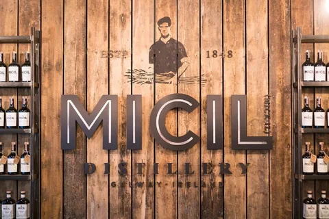 Galway: Traditional Irish Poitin & Gin Distillery Tour