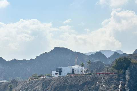 Muscat Dolphin Watching with Village Cruising Tour