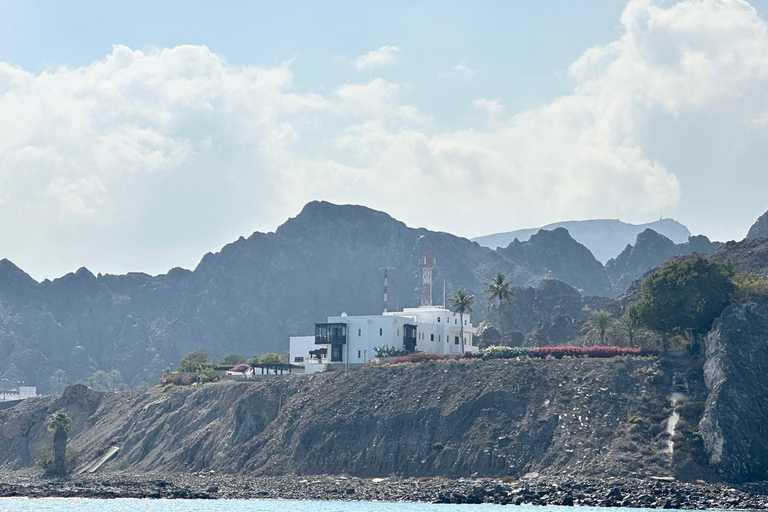 Muscat Dolphin Watching with Village Cruising Tour