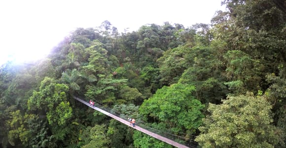 Arenal Hanging Bridges Half-Day Tour from La Fortuna