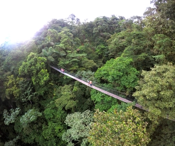 Arenal Hanging Bridges Half-Day Tour from La Fortuna