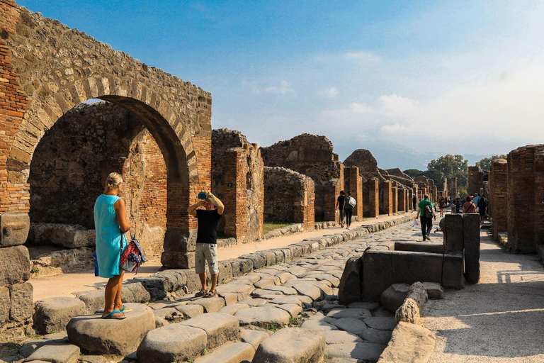 From Naples: Pompeii and Sorrento Guided Tour Tour in English