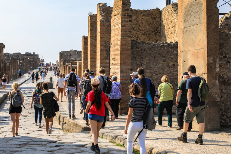 From Naples: Pompeii and Sorrento Guided Tour Tour in English